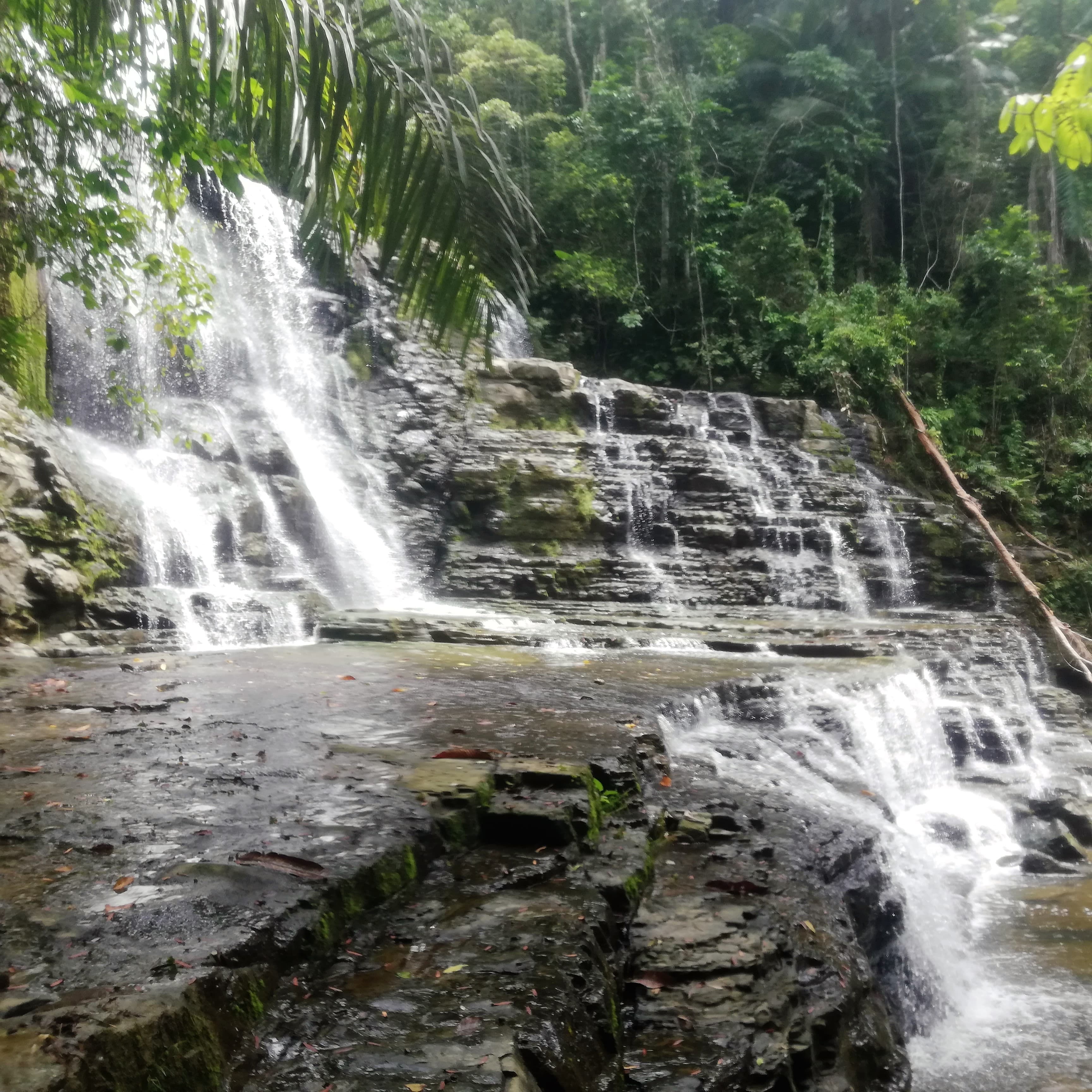 Merloquet Falls Eco Tour photo 3